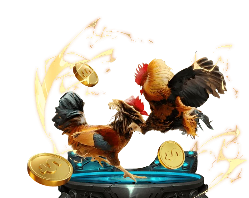 Cá cược thể thao tại 98win5